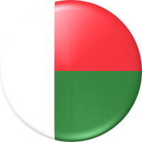 GetCTN Madagascar Flag