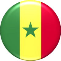 GetCTN Senegal Flag