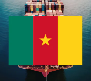 Cameroon flag 360x320